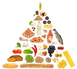 Food Pyramid