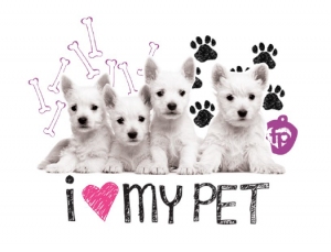 Trend Report: Pet Graphics! Trend Report: Pet Graphics!