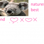 pandas love