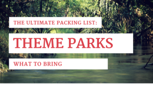 What To Bring To A Theme Park For The Best Time Ever