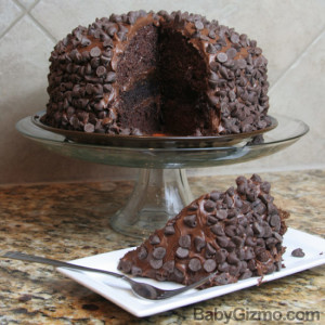 cake_slice