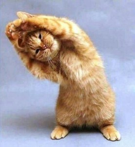 9 Yoga Poses For A Healthier Life