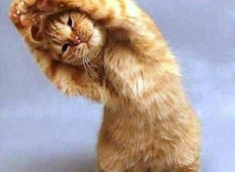 9 Yoga Poses For A Healthier Life