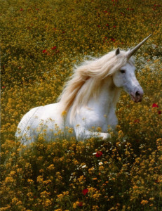 If Unicorns Are Your Spirit Animal – You Need These 19 Accessories