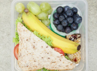 Lunch Ideas For Girls On-The-Go