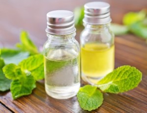 http://www.offthegridnews.com/alternative-health/9-incredible-off-grid-ways-peppermint-oil-can-heal/