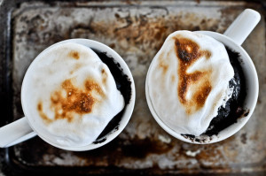 http://www.howsweeteats.com/2012/02/5-minute-chocolate-fudge-smores-mug-cake/comment-page-2/